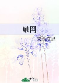 触网 朱颜成思 