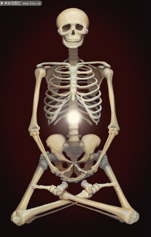 白骨观修炼用图,图像解读:白骨观的象征意义白骨观的修炼图通常描绘出完整的人体骨骼,骨骼的颜色通常为白色或金色,骨骼细腻的光泽,显示出庄严宁静的感觉