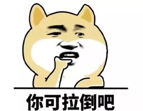 下午不建议拔牙 医生是这么说的