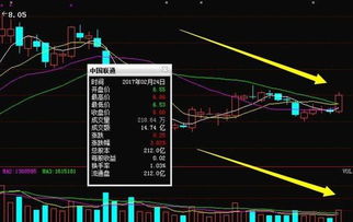 医药股的龙头和电子信息类的龙头各是什么