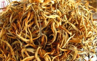 滇红金芽属于什么茶,滇红金芽属于什么茶