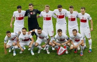 波兰2024欧洲杯比分