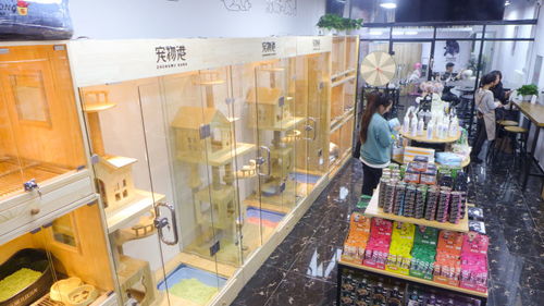 打卡一家北京通州口碑超好的宠物店 宠物港 通州万达店