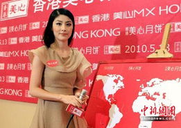 图 陈慧琳在世博会推介香港美食 2 