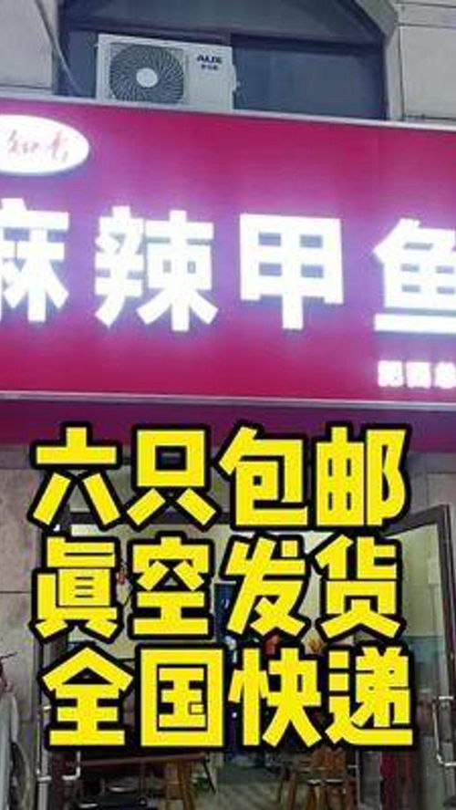 合肥探店达人 