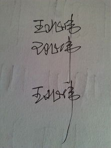 各位好心的大哥大姐谁能帮我设计个签名呢 本人写字太丑了 我的名字是 王兆伟 