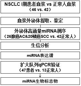 2020国自然研究热点 外泌体研究