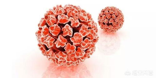 男性的hpv初期图片？男性感染HPV病毒早期有什么症状