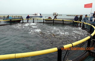 海水养殖管道, 抗氧化海水养殖管道,海水养殖管道, 抗氧化海水养殖管道生产厂家,海水养殖管道, 抗氧化海水养殖管道价格 