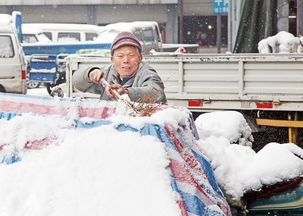 风雪中的那双手(风霜雨雪都经过双手依然紧握)