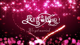 唯美浪漫婚礼背景视频视频素材 模板下载 婚礼爱情背景视频大全 编号 16180608 