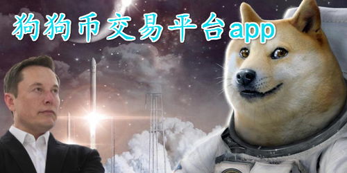 doge狗狗币怎么买 词条