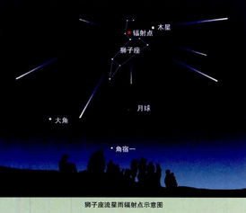 2014年11月18日狮子座流星雨极大 