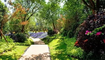 微园林 庭院造景植物设计指南