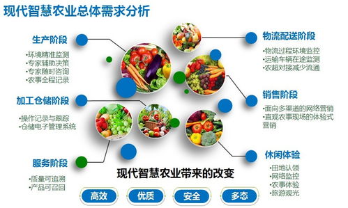 数字乡村软件在农村食品安全追溯中的应用