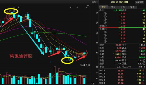 荣科科技股票,荣科科技股票近况分析