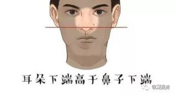 耳朵与鼻子的高低对运势的影响