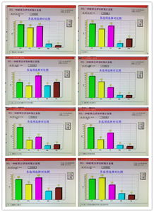 中职生计算机毕业论文