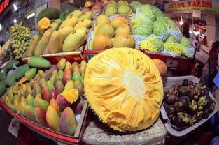 三亚是中国唯一的热带城市吗,三亚什么水果最好吃？
