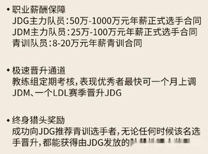 LOL JDG战队发布2019青训招募 百万薪酬只为求个好打野