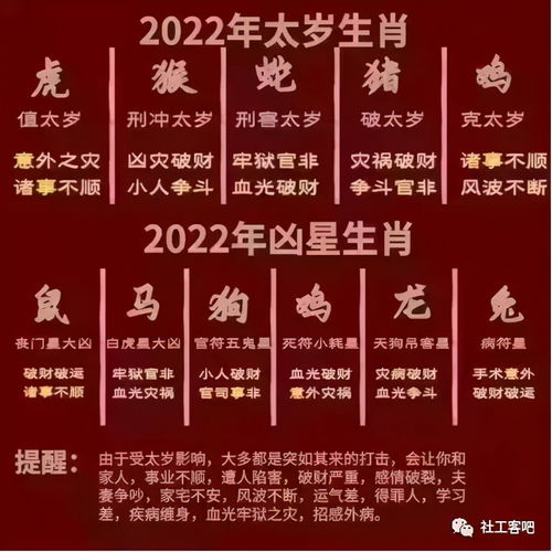 2022寅年犯岁太对我们运势带来什么影响