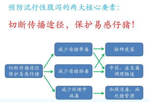 双胞胎集团入职流程大概多久(双胞胎集团好进吗)