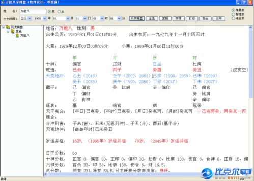 万能八字排盘软件 2.0 中文免费绿色版下载 比克尔下载 