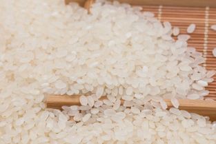 大米中含有什么 