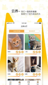 我要猫app下载 我要猫下载 1.0.1 手机版 河东软件园 