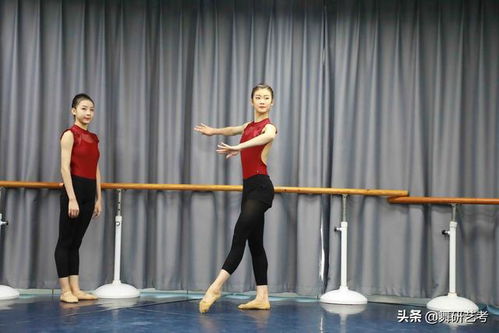 济南舞蹈艺考班培训
