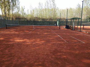 网球球场材质为红土为什么不扬尘