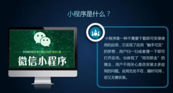 小程序cms网站原创AI文章自动生成更新发布站群工具