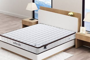 什么牌子的床垫好,以 科技环保睡眠 为核心