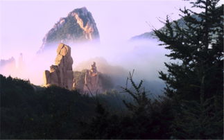 祖山风景区,祖山风景区：自然与历史的和谐交融