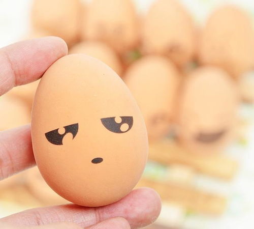 10条好玩的冷知识,有公司已经研发出了人造鸡蛋
