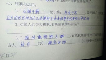 关于努力才有成果的名言名句