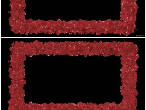 动态玫瑰花瓣边框婚庆情人节带透明通道视频视频素材 模板下载 抠像 前景 通道大全 编号 16136605 