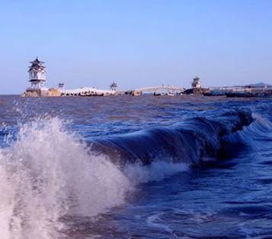 连续四周监测显示 我市两大海水浴场均适宜游泳