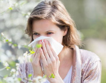 荷兰科学家警告 花粉症患者驾车同酒驾一样危险 