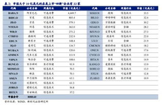 持有的港股可以办理质押登记业务吗？