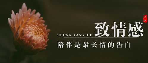 如果你开始想念我,记住了