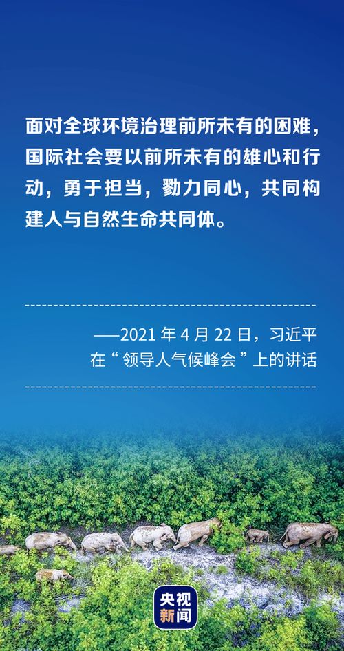 2021寄语梦想前行-第2张图片