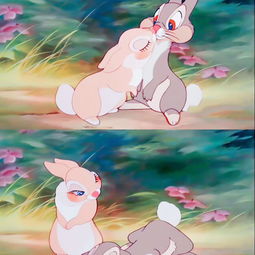 小白兔和小灰兔的爱情故事