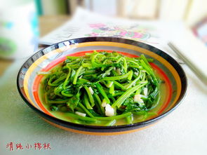 蒜香小菜苗的做法,蒜香小菜苗怎么做好吃,蒜香小菜苗的家常做法 清纯小棉袄 