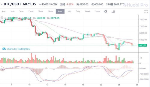 bch比特现金最新价格,分叉后，比特币现金（BCH）的价格会是多少