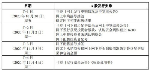 机构打新与个人打新哪个中签率高