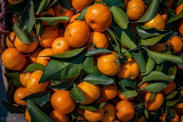 人人爱吃的砂糖橘,是如何从 发财橘 变 杀人橘 的 值得深思