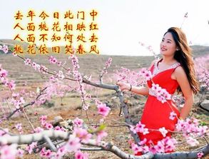 教你怎么看生辰八字之婚姻桃花 