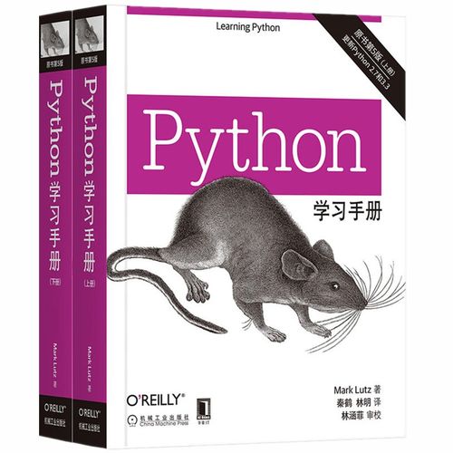 python中有中文怎么解决