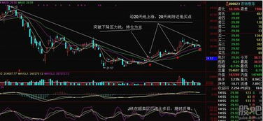 您好，吉林敖东的股票今年一直在下跌，还有必要等下去吗，都损失好几万块了，现在该怎么办？？